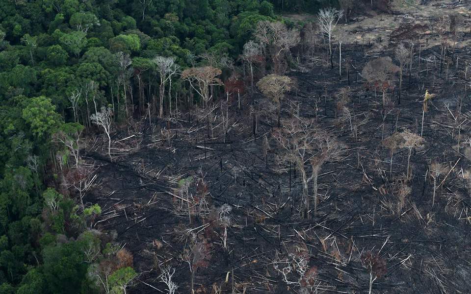 Brazili ngre alarmin: Shpyllëzimi në Amazon rrezikon rritjen e temperaturave