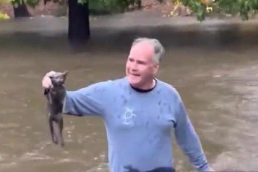 VIDEO/ Burri futet mes ujërave dhe shpëton macen nga përmbytjet