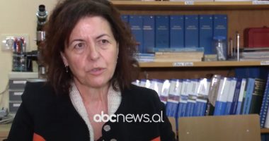 Satelitët shqiptarë, Hafizi: Pretendim krejt i papërputhshëm me realitetin