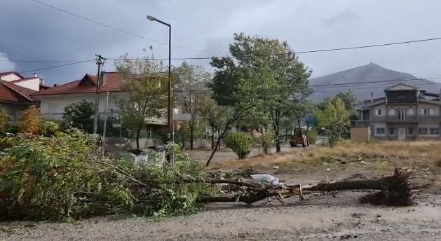 Era e fortë shkakton probleme në Korçë, pemë të rrëzuara dhe mungesë energjie në disa zona