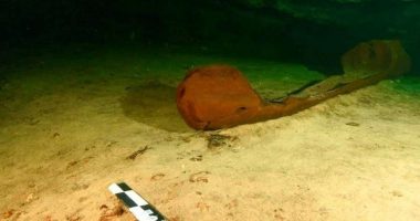 Arkeologët gjejnë kanoen 1 mijë vjeçare prej druri në Meksikë