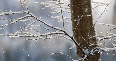 Rriten lehtë temperaturat, si nis moti për vitin 2022