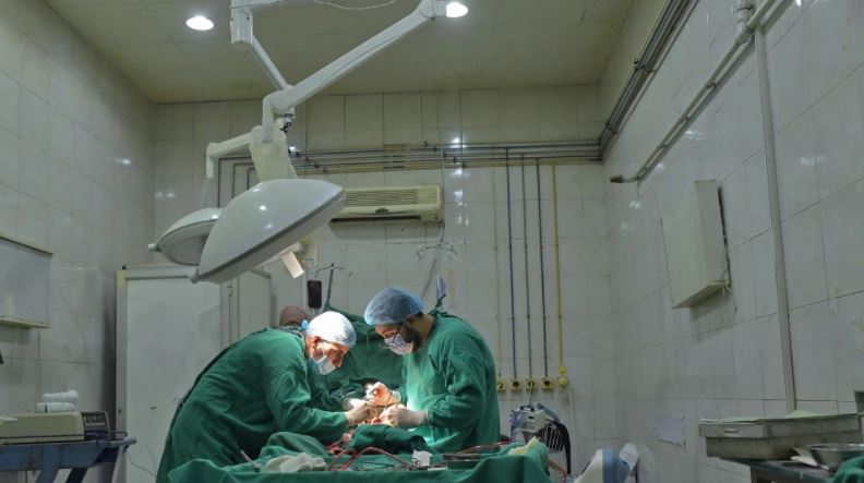 Arritje mjekësore në Nju Jork, kryhet transplantimi i veshkës nga derri te njeriu
