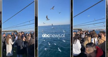 VIDEO/ Kthimi për në shtëpi u kthye në tragjedi, itinerari i udhëtimit të turistëve shqiptarë në Stamboll