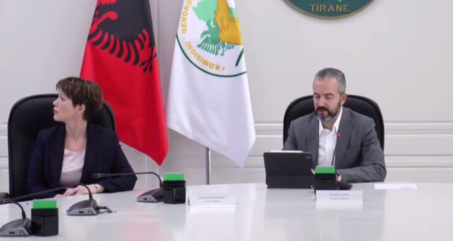 Electronic voting, CEC: 1006 suspicious cases, 20 commissioners voted 2 times