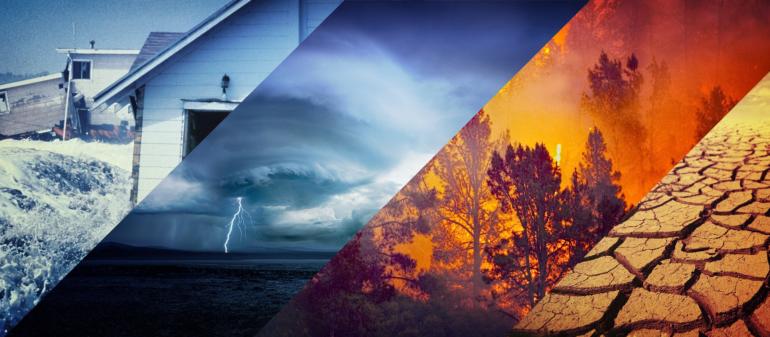 2021, viti i temperaturave të larta dhe motit ekstrem