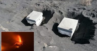 Mrekulli, mijëra bletë mbijetuan nën hirin vullkanik të La Palma për 50 ditë