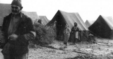 Kontrolli ndaj çamëve