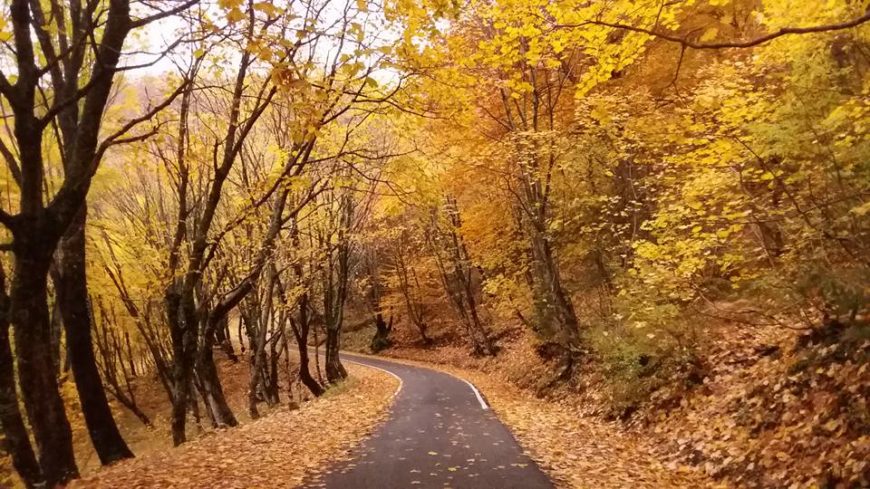 Ulen sërish temperaturat, si parashikohet moti sot