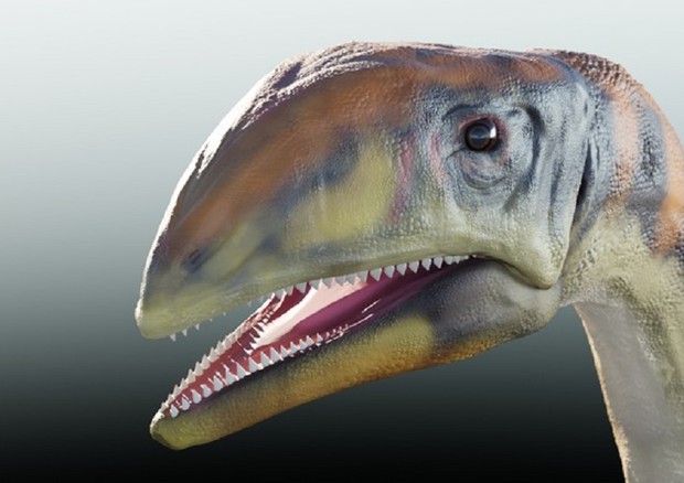 Jetoi 214 milionë vjet më parë, identifikohet dinosauri i parë i Grenlandës