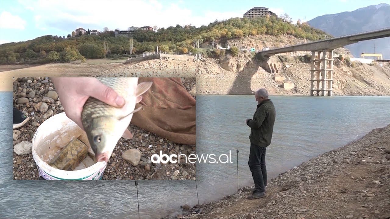 Gjuetia me dinamit po zhduk peshqit në liqenin e Fierzës, peshkatari: Policia i arreston, gjykata i liron