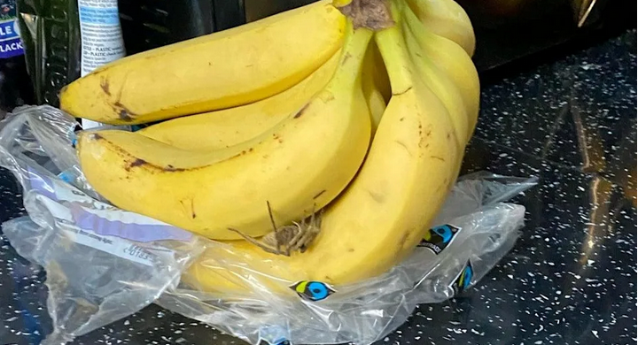 “Po lëvizte”, burri gjen merimangën më helmuese në botë në banane