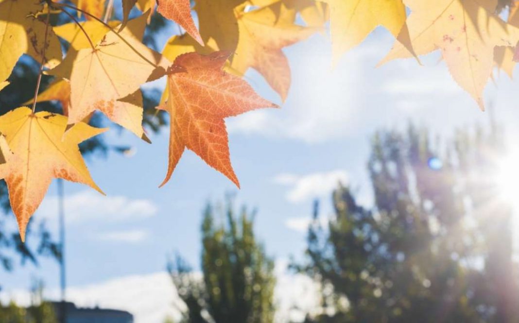 Vranësira dhe ulje temperaturash, si pritet të jet moti sot