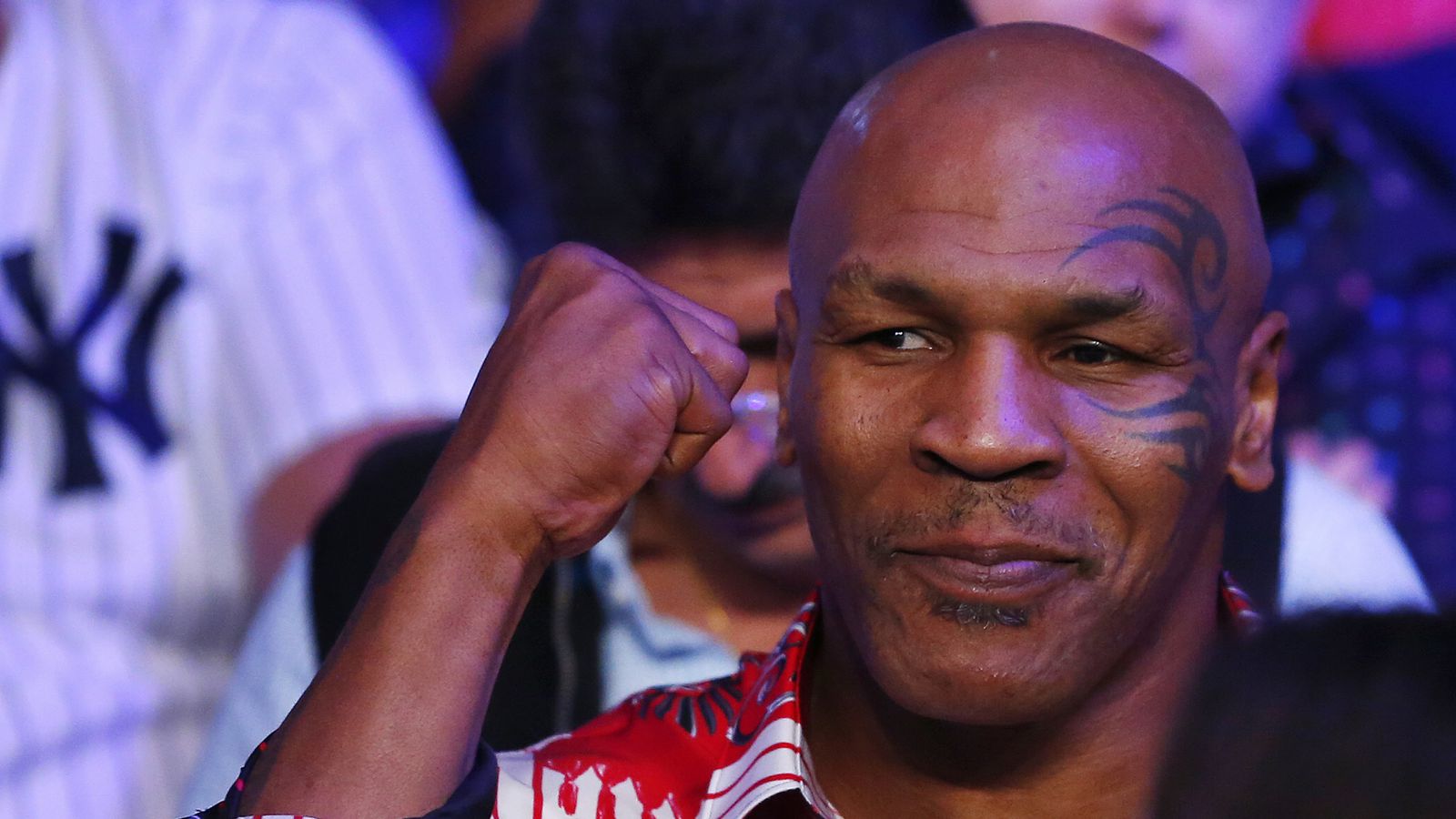 Mos ia prekni pëllumbat, Mike Tyson la të dashurën për to