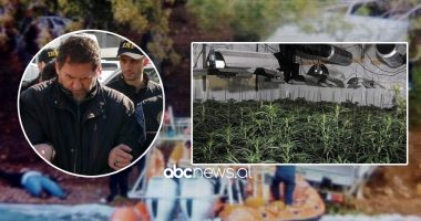 Nga Shqipëria në Turqi, vetia e drogës super të fortë që të godet në kokë dhe Met Kanani