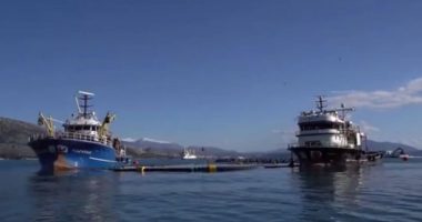 Rama nxjerr videon: Çfarë ndodh me peshqit e mëdhenj në Sarandë