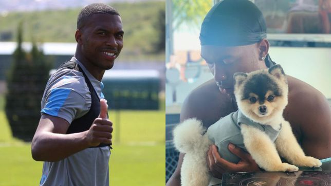 Daniel Sturridge i detyruar të paguajë më shumë se 20 mijë euro për personin që i gjeti qenin