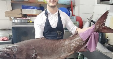 Nuk i kishim parë ndonjëherë, shfaqen specie të reja peshku në ujërat e bregdetit shqiptar