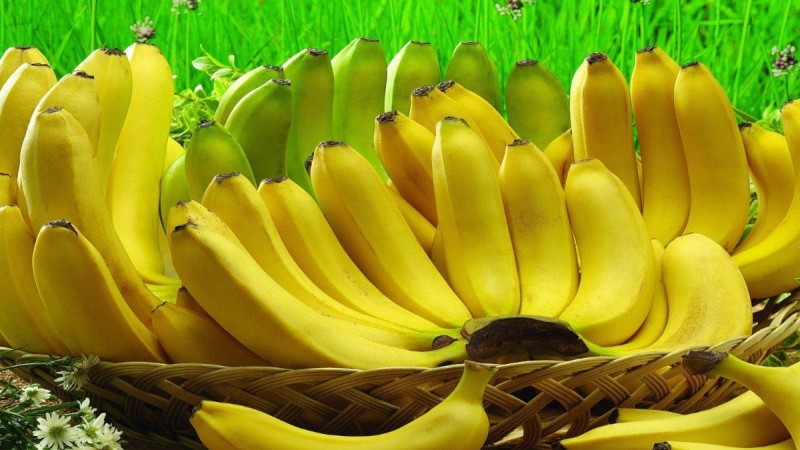 Kujdes i madh: Kush nuk duhet të hajë banane