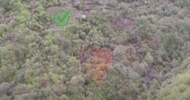 Guardia di Finanza: Gjatë 2021 u rritën sipërfaqet me kanabis në Shqipëri