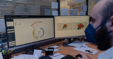 Në gjurmimin e varianteve të reja, studiuesit punojnë për të zbuluar ndikimin e virusit tek individët