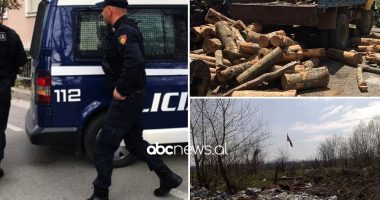 Goditje ndaj krimeve mjedisore, 22 të arrestuar për dy javë, 32 nën hetim