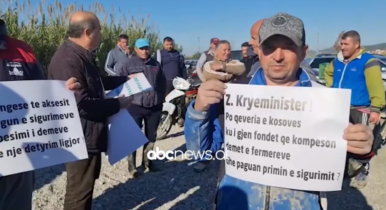 Banorët e përmbytur nga Vjosa, në protestë: Duam dëmshpërblim nga shteti