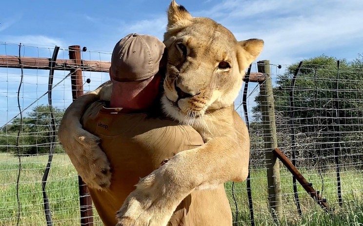 VIDEO/ Momenti i pabesueshëm ku luanesha përqafon mikun e saj