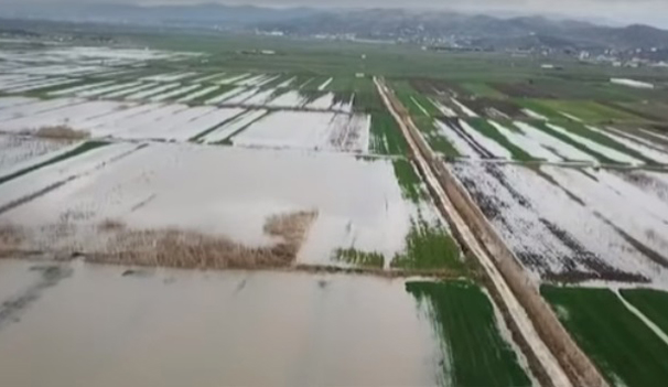 Bujqësia shqiptare, pa mbrojtje, nën “thundrat” e klimës