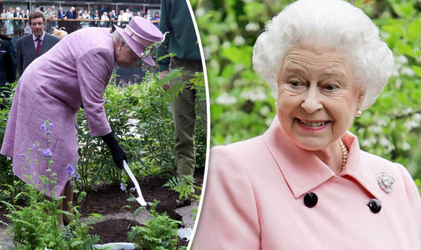 Lulja e preferuar e Mbretëreshës Elizabeth II