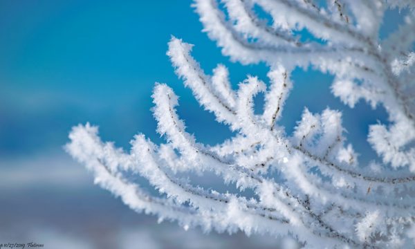 Thyhet rekordi në Mal të Zi, shënohet temperatura më e ulët