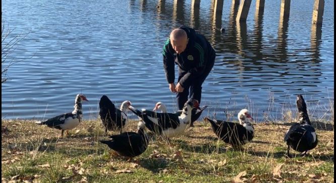 Pasi ja mori këngës në Korçë e Shkodër, Meta ushqen rosat tek liqeni: Në shoqëri të mirë