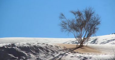 Fenomeni i rrallë, bie dëborë në Sahara