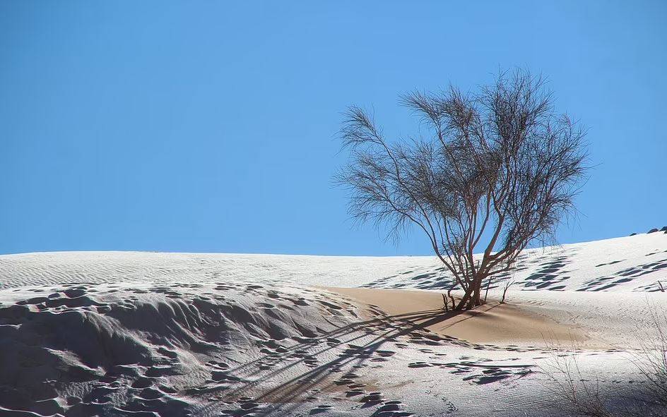 Fenomeni i rrallë, bie dëborë në Sahara