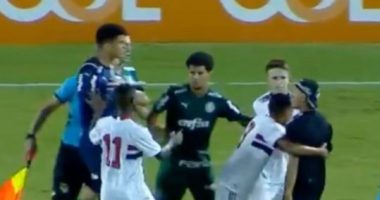 Tifozët futen në fushë për të sulmuar lojtarët (VIDEO)