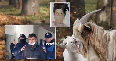 “Cjapi im ndërzeu dhitë e Fatimes, ajo nuk më dha lekët”: Abcnews.al siguron dëshminë e Fetah Marrës pas krimit makabër në Kuçovë