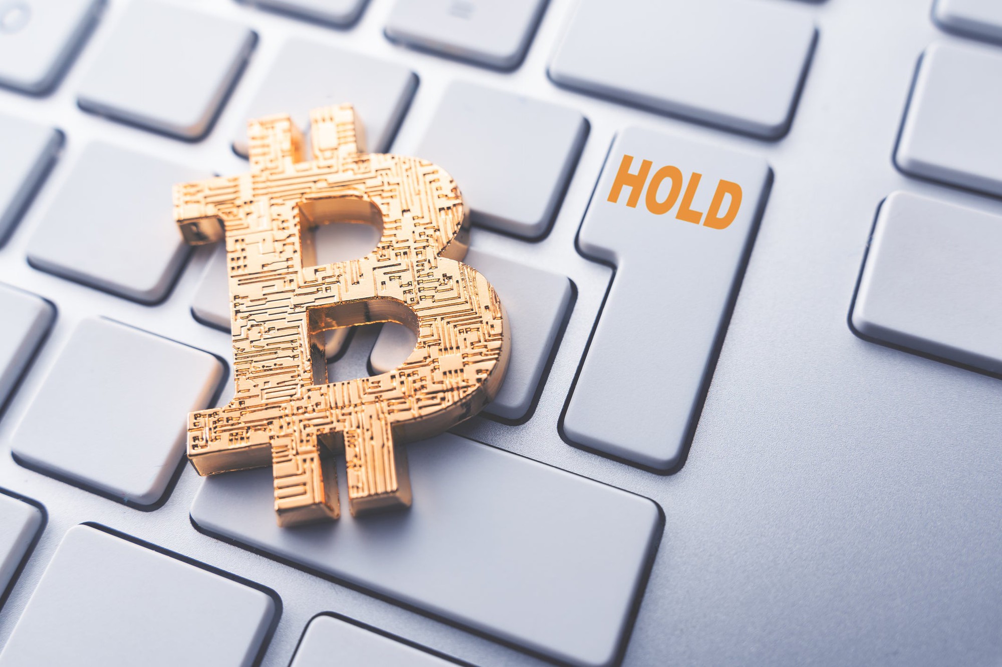 Keni humbur Bitcoin-in? 2 kriptovaluta për të investuar tani!
