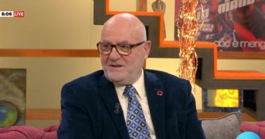 Situata në Shqipëri, Mal Berisha: Ambasadorët nuk duhet të shkojnë nëpër parti politike