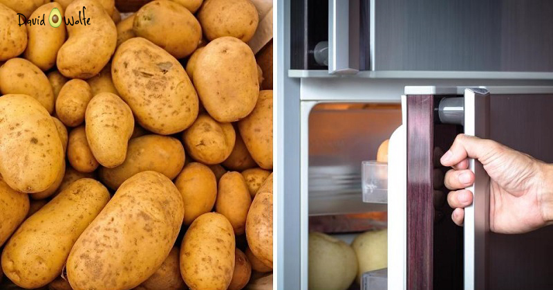 A e dini arsyen pse patatet nuk duhet t’i vendosni në frigorifer