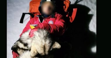 Qeni shpëton alpinistin që u rrëzua, u shtri mbi të dhe e mbajti ngrohtë për 13 orë