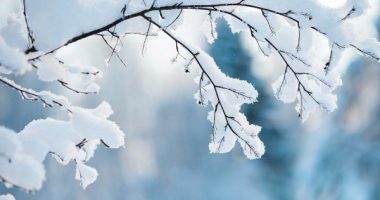 Nga Antarktida e deri në Florida, ja cilat janë vendet ku nuk ka rënë kurrë borë