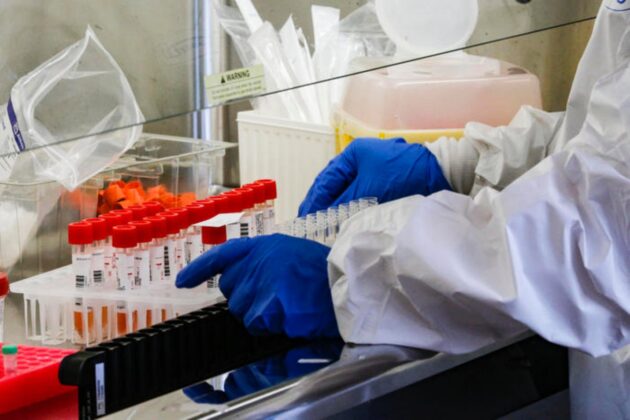 Në origjinën e Omicron, shkencëtari: Pse varianti i ri vjen nga minjtë