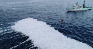 Bregu i madh i peshqve të ngordhur është vërejtur në brigjet franceze të Atlantikut
