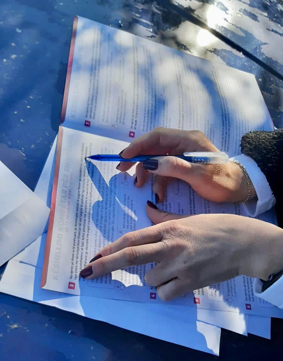 12 pyetjet e Këshillimit, Rama me shifra: Sa qytetarë janë përgjigjur