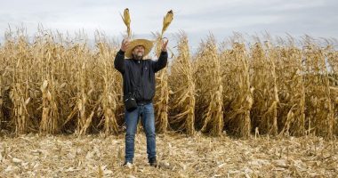 Çfarë ndodh nëse Rusia pushton Ukrainën, Europa në “zi” për këto produkte ushqimore