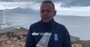 Fokat, delfinët dhe peshkaqenët “vizitojnë” brigjet e Jonit