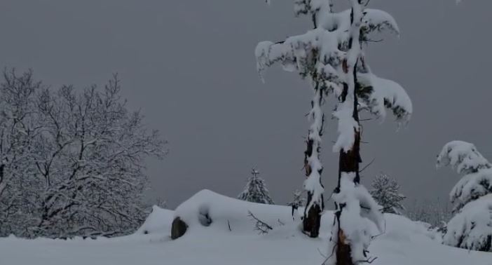 Bora deri në 20 cm, probleme me qarkullimin në fshatrat e Krujës