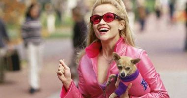 4 këshilla nëse punoni në një mjedis të dominuar nga meshkujt