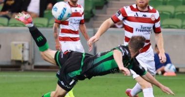 VIDEO/ Goli si akrep në Australi po bën xhiron e internetit