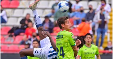 VIDEO/ “Çfarë goli”, kjo roveshatë në Meksikë po bën xhiron e internetit